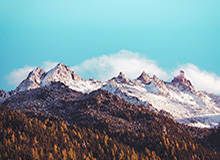 开云官网-app下载，开启智慧生活的第一步